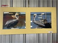 Pelican Framed Picture Wood Frame 36x16.5