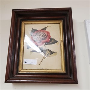 Framed Camellia Perpenti Flower Art