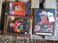 JEFF GORDON PICTURES AND BOOK