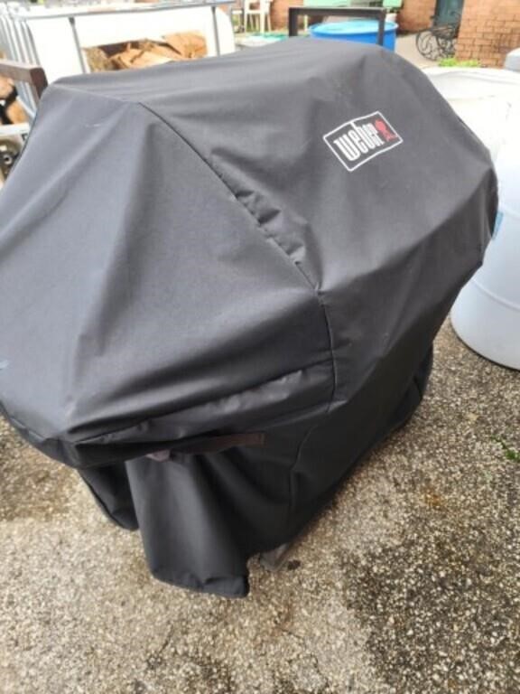 Weber grill with cover