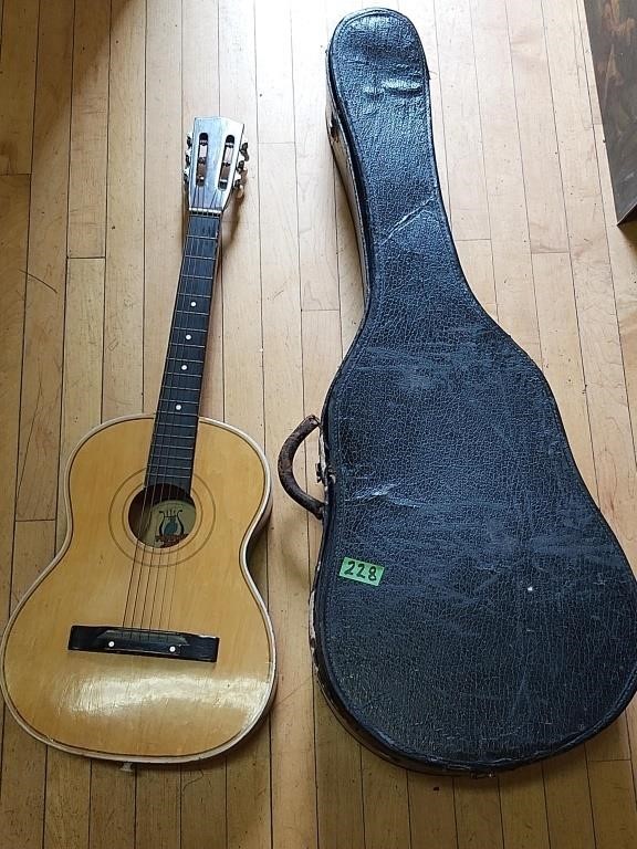 Parrot Guitar with case