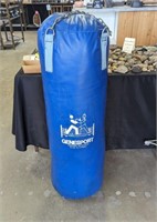Genesport Large Blue Workout Bag 95 lbs