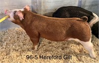 96-5 Herford Gilt ~Bona Vista~ Deep End X Hit King