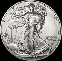 Just Released 2021 Type 2 1oz Silver Eagle Gem BU