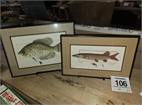 Zielinski fish pictures (2), signed, lgst 11" x15"
