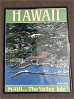 VIntage Maui Hawaii Poster 24" x 18.5"