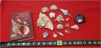Sea Shells & Book