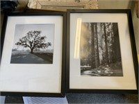 Black and white framed pictures