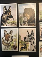 DOGS: Complete Set of 150 German TOBACCO Cards