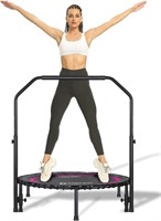 DARCHEN 450 lbs Mini Trampoline for Adults, Indoor