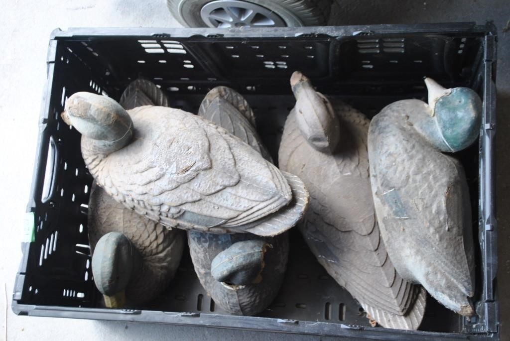 box of decoys