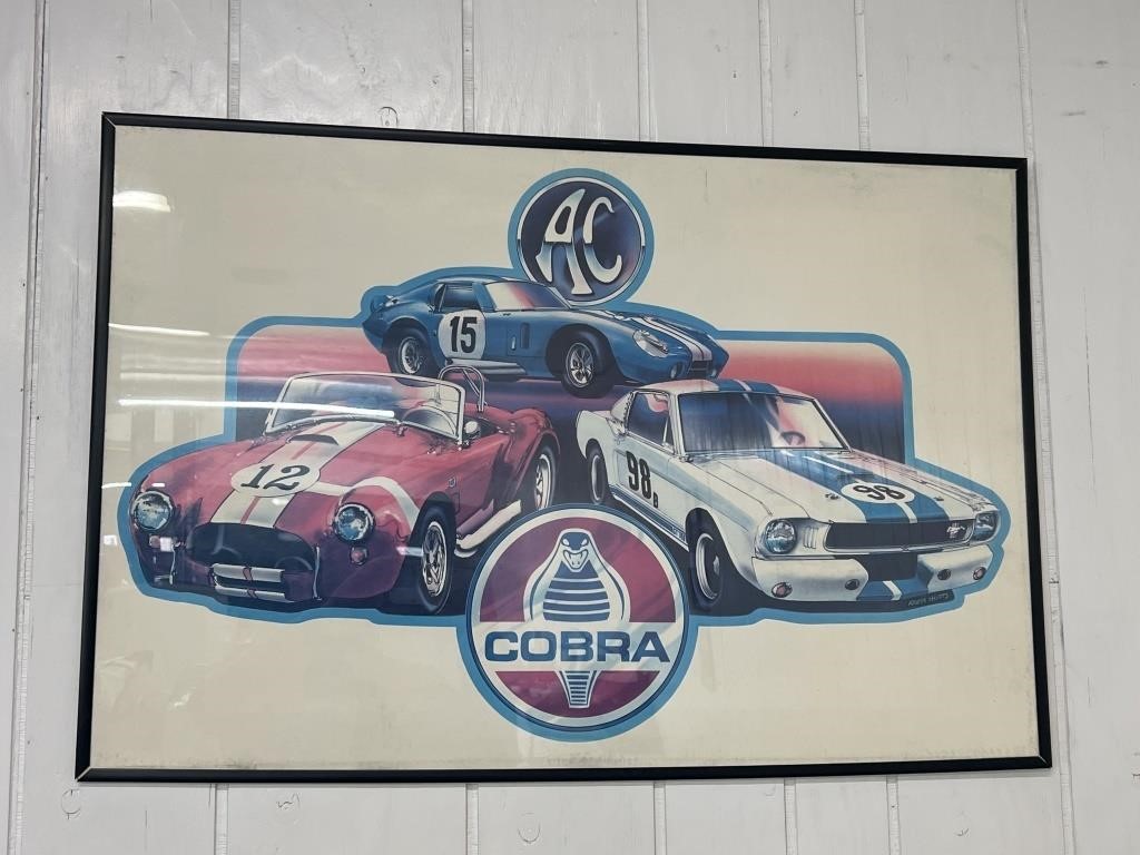 Framed Cobra poster