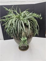 Home Decor Nice Vase w Artifivial Sppider Plant