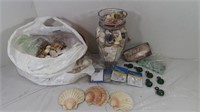 Seashells-Lot