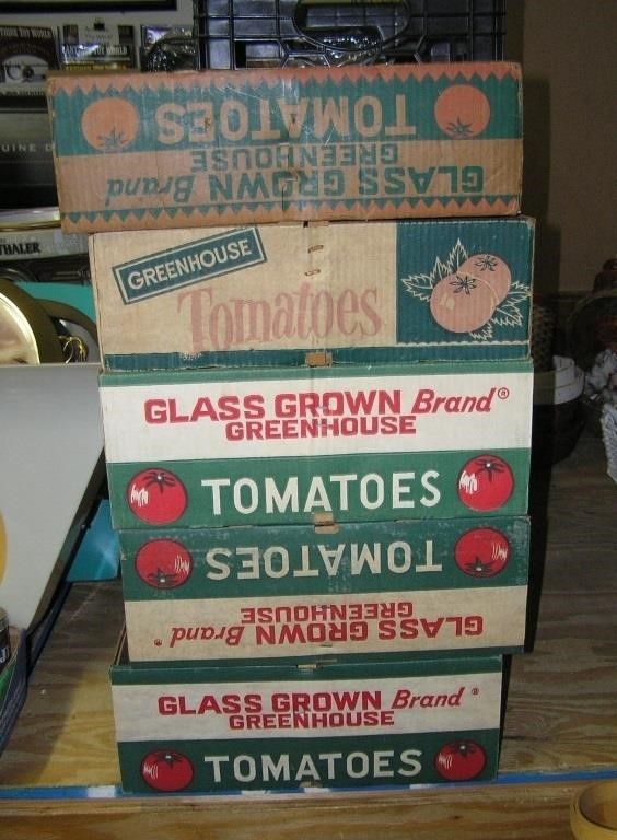 Group of 5 early tomato advertising display basket