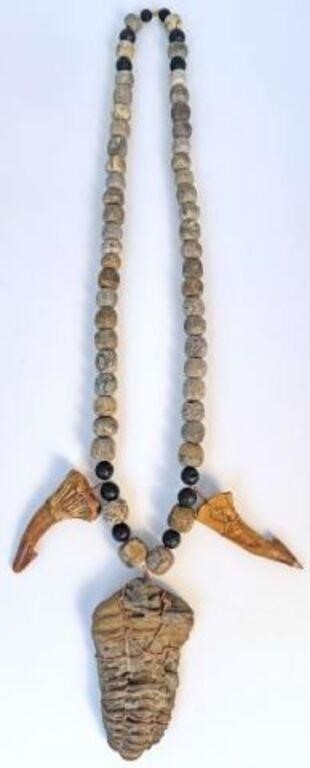 Dinosaur Tooth and Fossilized Items Necklace.
