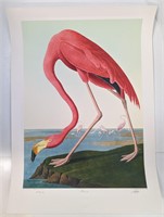 Flamingo John Audubon Master Edition Print