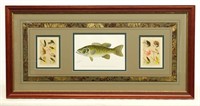 Fishing Framed Prints