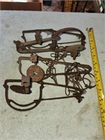 4 Vintage Animal Single Long-Spring Traps