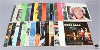 Vinyl Record Assortment / 30 pc