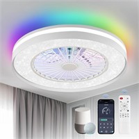 20 inch Smart Wifi Bluetooth Enclosed Ceiling