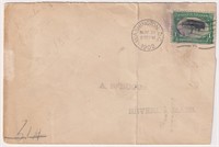 US Stamps #294 Philatelic invert on cover, center