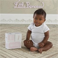 Baby Aspen My First Milestone Princess Age Blocks