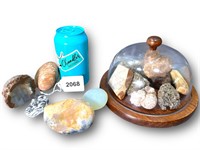 Rocks & Minerals w/Plastic Covered Stand