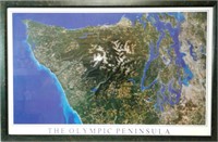 Photo Print of "The Olympic Peninsula", Framed