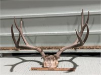 DEER RACK