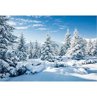 (New) Yeele 7x5ft Winter Snowscape Backdrop White