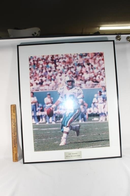 Large Dan Marino Framed and matted poster