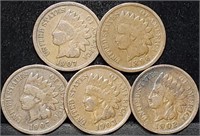 5 Nice Indian Head Cents incl. 1896