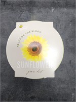 Sunflower grow kit