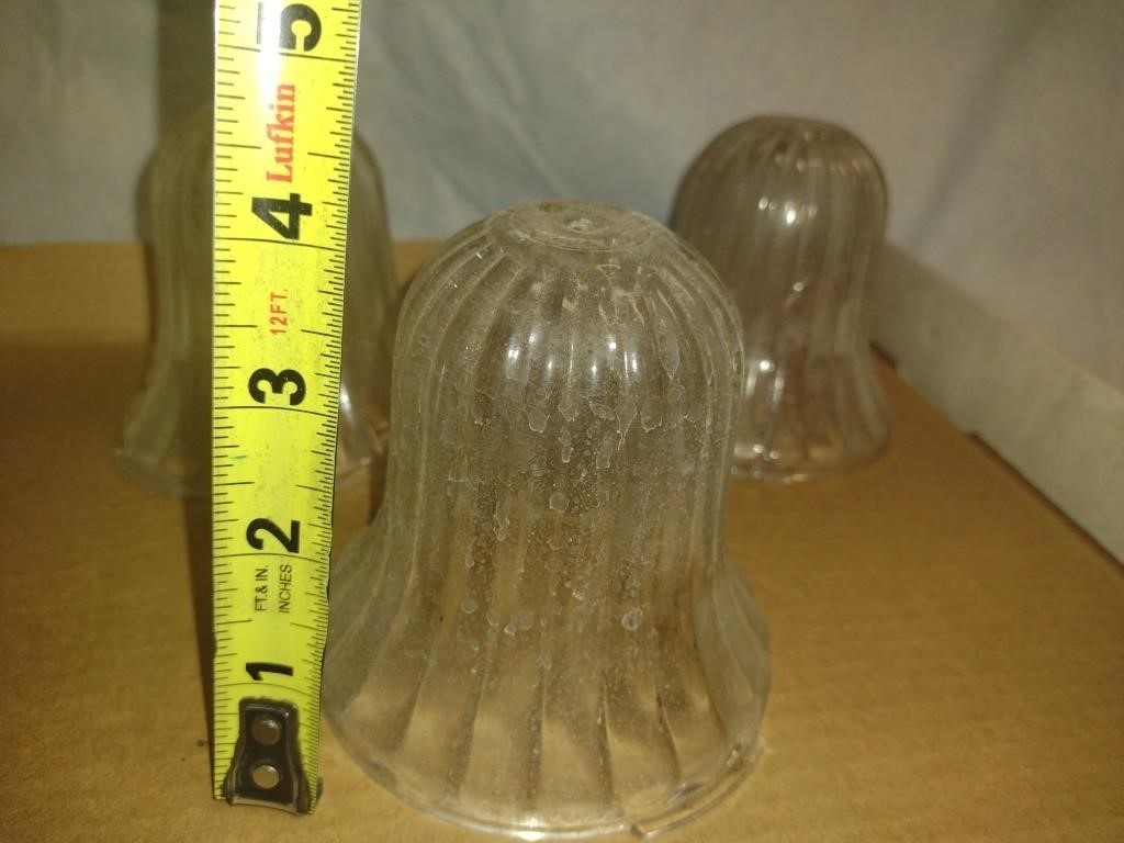 Vintage Glass Light Globes (2)  Lot 1