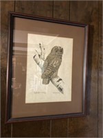 Murray Owl Picture