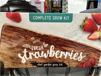 FRESH STRAWBERRIES CHEF GARDEN GROW KIT