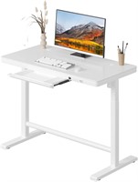 Electric Standing Desk with Drawers  45x23 in