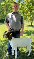 Bryce Clevenger - Goat