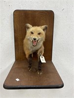 Fox Half Body Mount on Wooden Plaque