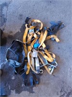 Assrt of safety harness's