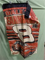 Dale Earnhardt jr NASCAR  flag - 2001