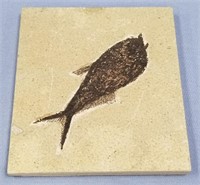 Fish fossil plate 6.5"               (N 105)