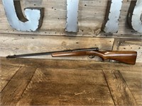Winchester Model 74 - .22LR