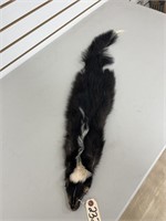 Skunk Full Body Hide