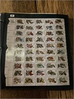 State birds & flowers - Horses sheets