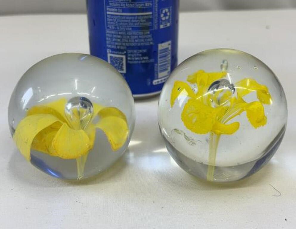 2-Vintage Art Glass Paperweight Daffodil Flower