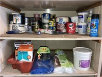 Assorted Paint Products