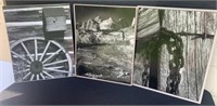 Lot of Three Large "Ellis R. Wolfe" Photogaphs