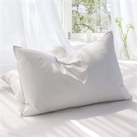 FM4531  Teler Goose Feather Down Pillow, Queen (20